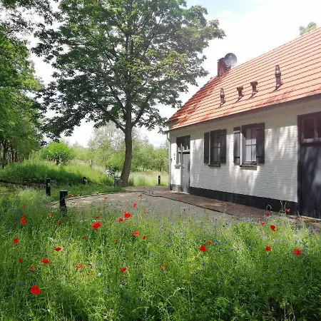 Captivating Holiday In Near Forest * Erp