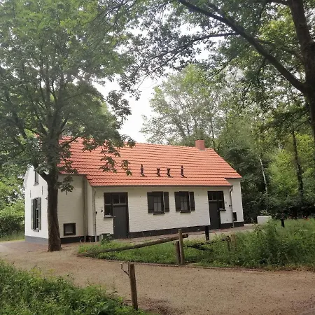 Captivating Holiday In Near Forest *