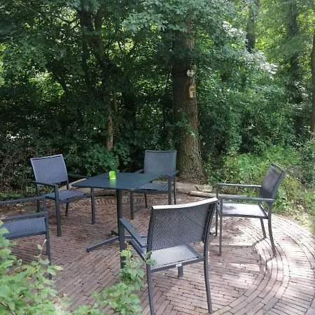 Captivating Holiday In Near Forest