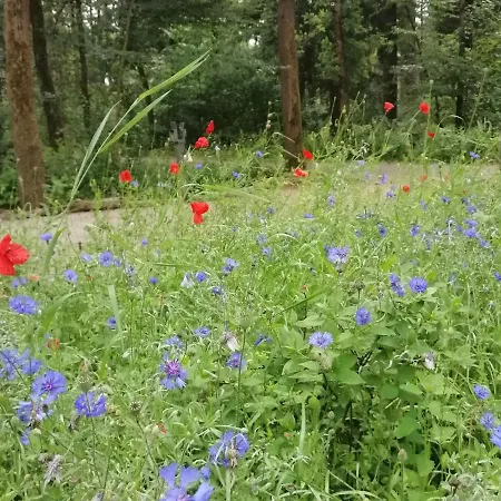 Captivating Holiday In Near Forest Feriehus Erp